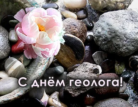 Открытка Открытки с днем геолога - Открытка с розовым пионом на камнях | Красивая открытка #59