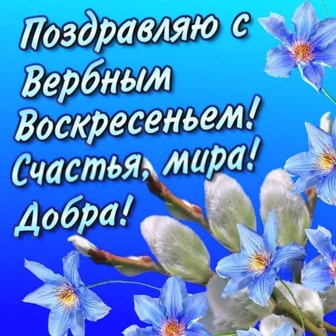 Открытка Вербное Воскресенье - Синие цветы на открытке | Красивая открытка #276