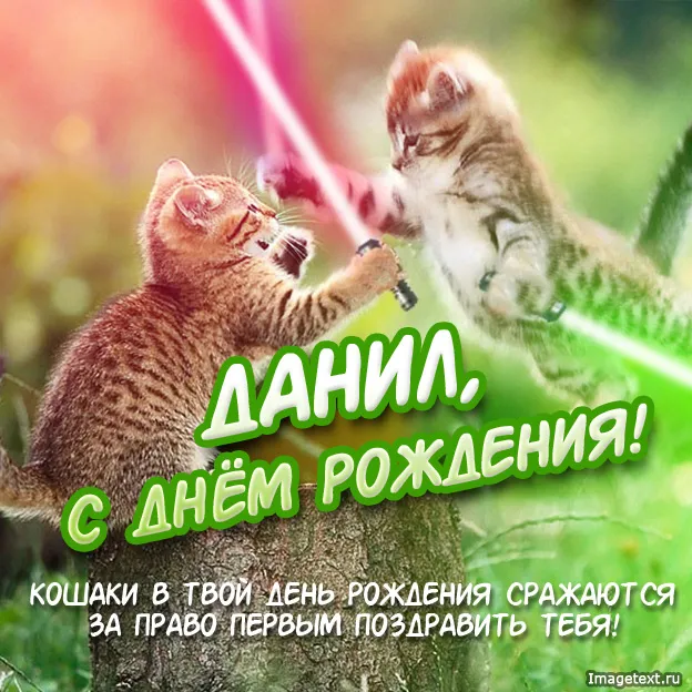 Открытка Открытки с именем Даниил/Данил - С Днем Рождения! Открытка с котятами  Онлайн | Красивая открытка #243