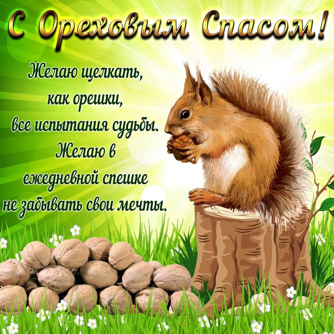 Открытка С белочками - Белка с орехами: открытка с добрым утром | Красивая открытка #26