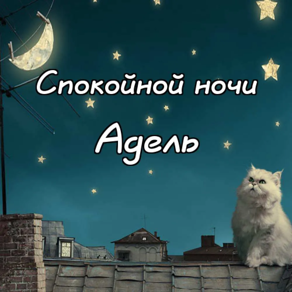 Открытка Открытки с именем Адель - Котенок на крыше под луной - открытка с котиком | Красивая открытка #177