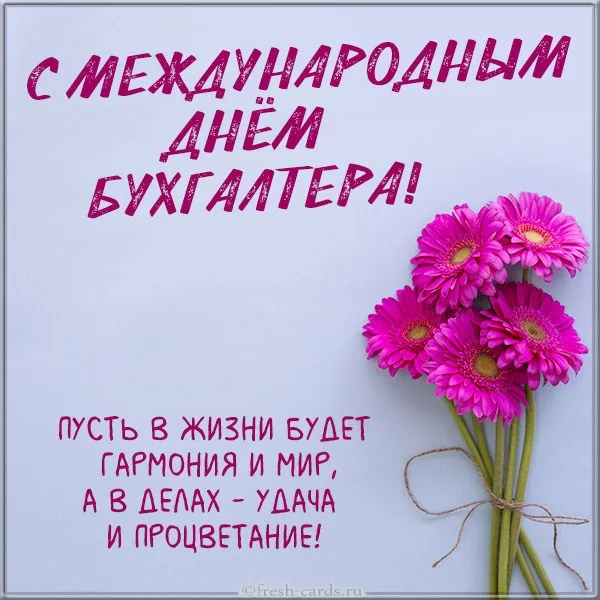 Открытка День бухгалтера - Букет гербер: открытка с цветами  fresh-cards.ru | Красивая открытка #1