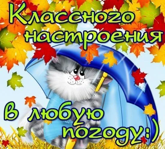 Открытка Картинки про погоду - Открытка с котенком под зонтом, осенние листья | Красивая открытка #17