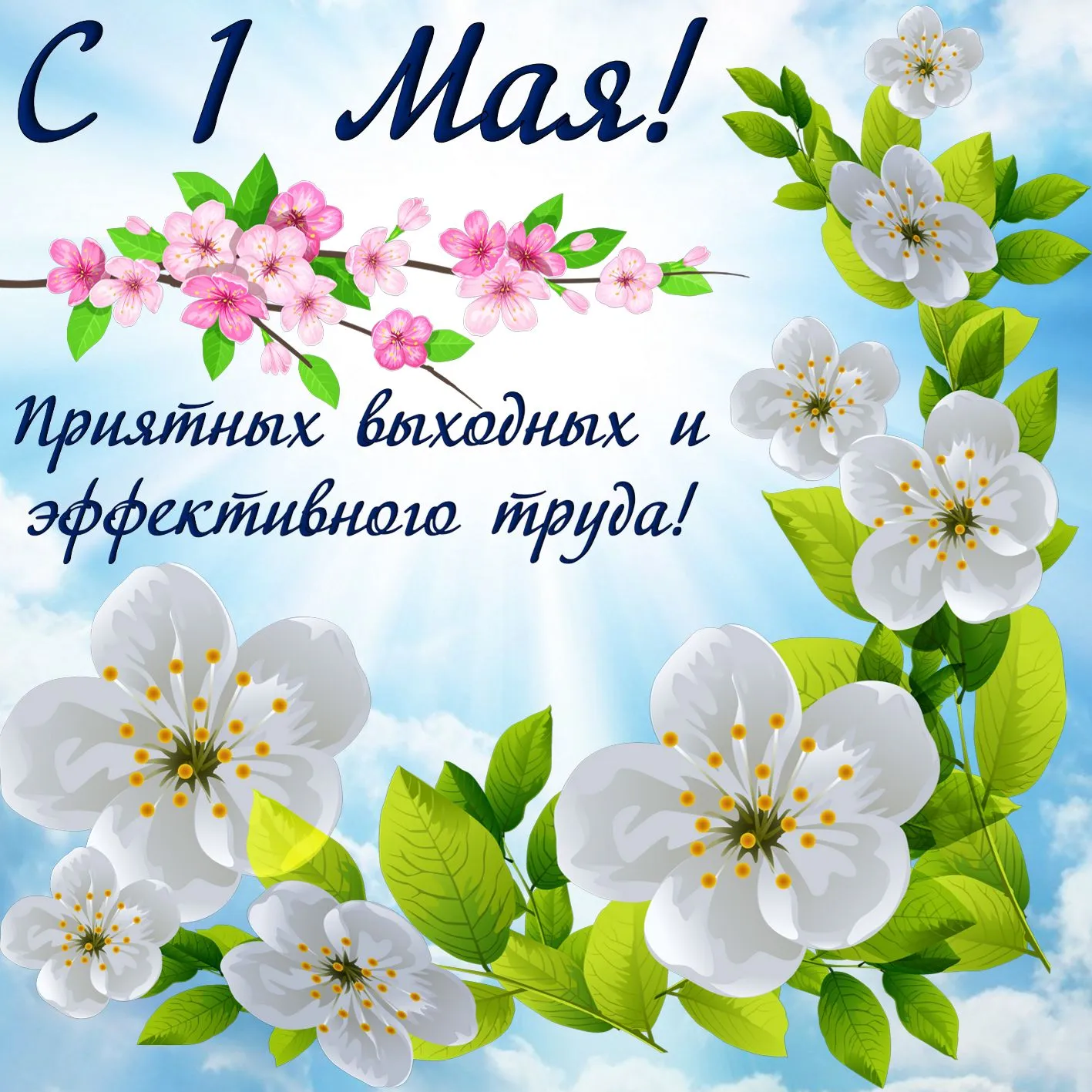 Открытка 1 мая - Цветы сакуры на открытке: весеннее настроение | Красивая открытка #233