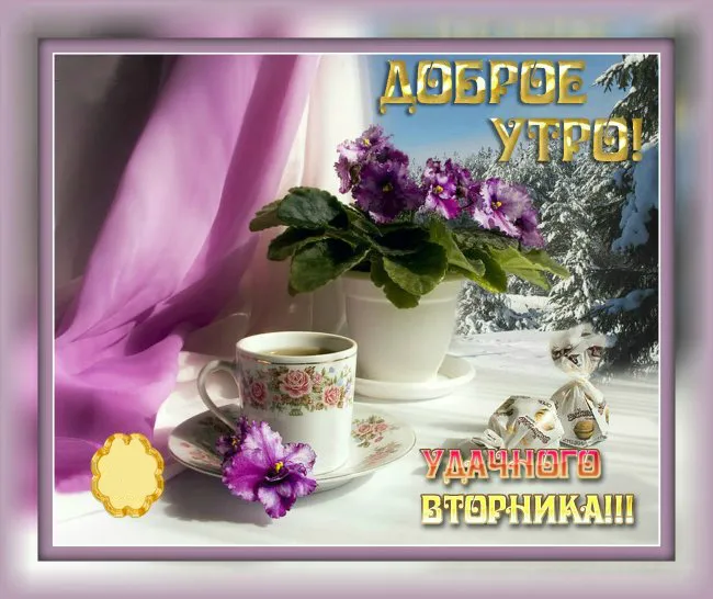 Открытка Удачного вторника - Открытка с фиалками, чашкой и снегом. | Красивая открытка #12