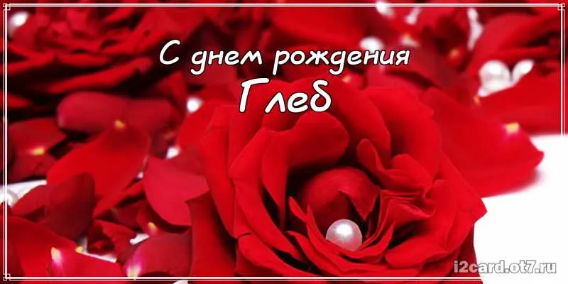 Открытка открытки с именем Глеб - Красные розы с жемчужиной: открытка с днем рождения | Красивая открытка #121