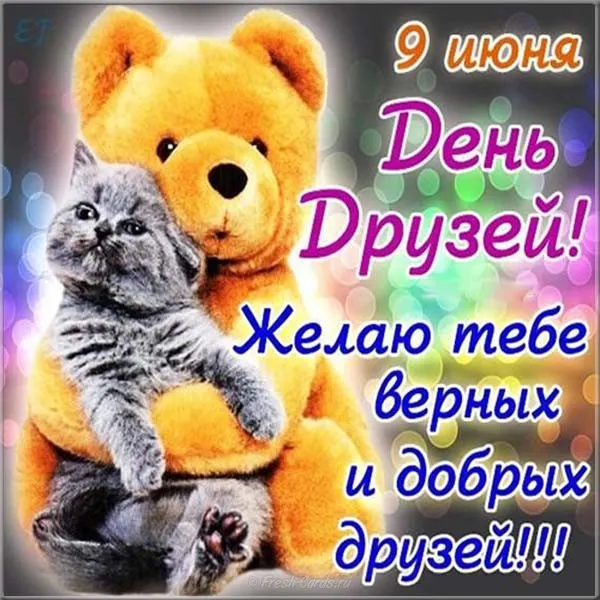 Открытка День друзей - Открытка с котенком: День иконы, пожелания друзьям | Красивая открытка #121