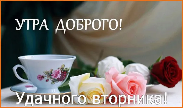 Открытка Удачного вторника - Розы и чашка кофе: нежная поздравительная открытка | Красивая открытка #13