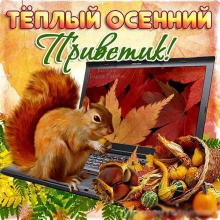 Открытка Осенний приветик - Белка на ноутбуке: осенняя открытка с тыквами | Красивая открытка #13