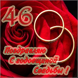 Открытка Открытки на Лавандовую свадьбу 46 лет - Поздравления с юбилеем свадьбы: 46 лет вместе! | Красивая открытка #14