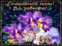 Открытка Открытки с пожеланиями на ночь - Зайчик спит среди фиолетовых цветов | Красивая открытка #2