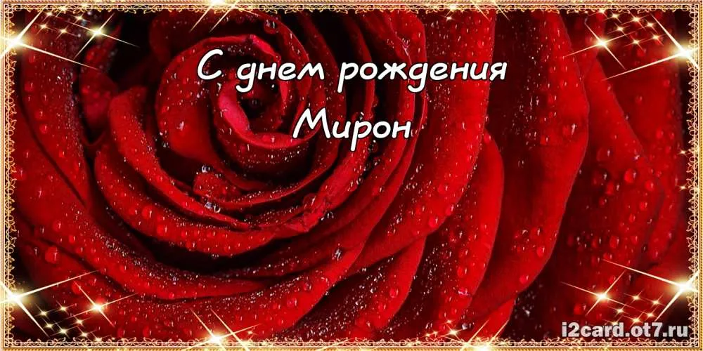 Открытка Открытки с именем Мирон  - Красная роза с каплями - открытка с днем рождения | Красивая открытка #45