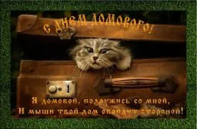Открытка Открытки с днем домового - Котенок в чемодане: Открытка с милым сюрпризом | Красивая открытка #18