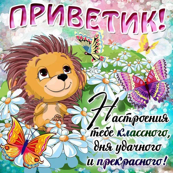 Открытка Привет - Открытка с ёжиком и цветами | Красивая открытка #12