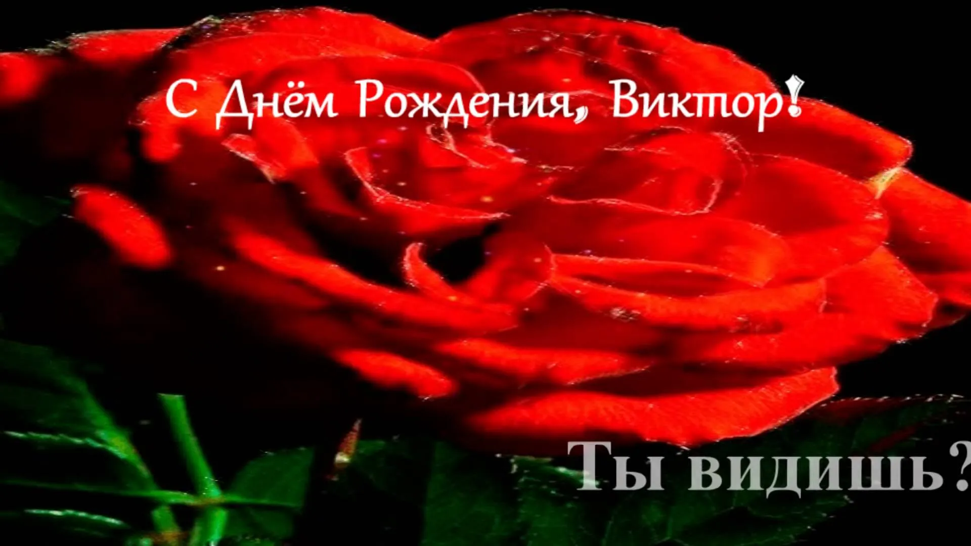 Открытка открытки с именем Виктор - Красная роза: открытка с днем рождения | Красивая открытка #38