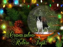 Открытка Открытки с новым годом - Открытка с щенком на Новый год: милая поздравление | Красивая открытка #168