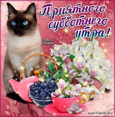 Открытка С субботой - Открытка с котенком, ягодами и цветами | Красивая открытка #41
