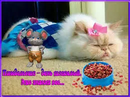 Открытка Открытки на понедельник - Котенок и мышонок: Открытка с милыми зверями | Красивая открытка #146