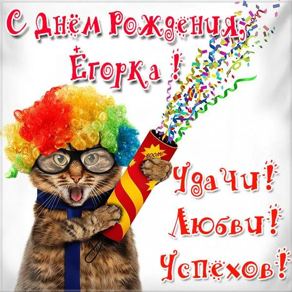 Открытка открытки с именем Егор - Котенок с конфетти и хлопушкой: смешная открытка | Красивая открытка #195