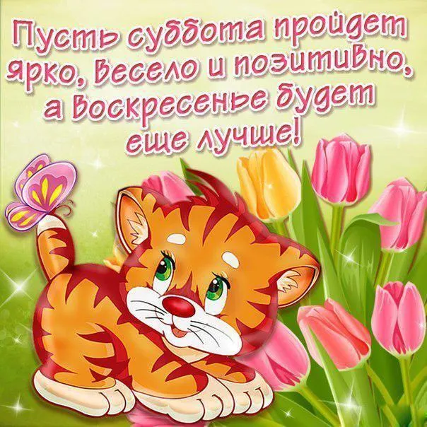 Открытка Открытки на субботу - Котенок и цветы: праздничная открытка  С Днем Рождения | Красивая открытка #147