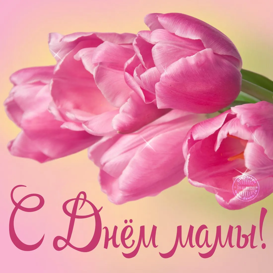 Открытка С днем матери - Открытка с розовыми тюльпанами  С Днём мамы! | Красивая открытка #73