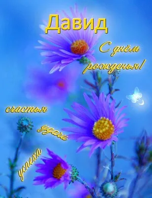 Открытка открытки с именем Давид - Открытка с цветами: фиолетовые и желтые цветы, пчелы | Красивая открытка #160