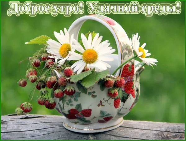 Открытка Открытки на среду - Чайник с клубникой и ромашками | Красивая открытка #227