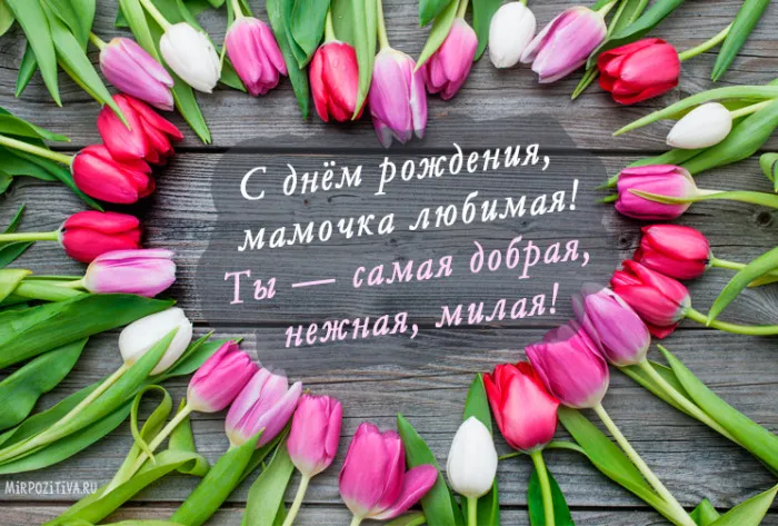 Открытка С днем рождения для мамы - Открытка: Букет тюльпанов на фоне дерева | Красивая открытка #31