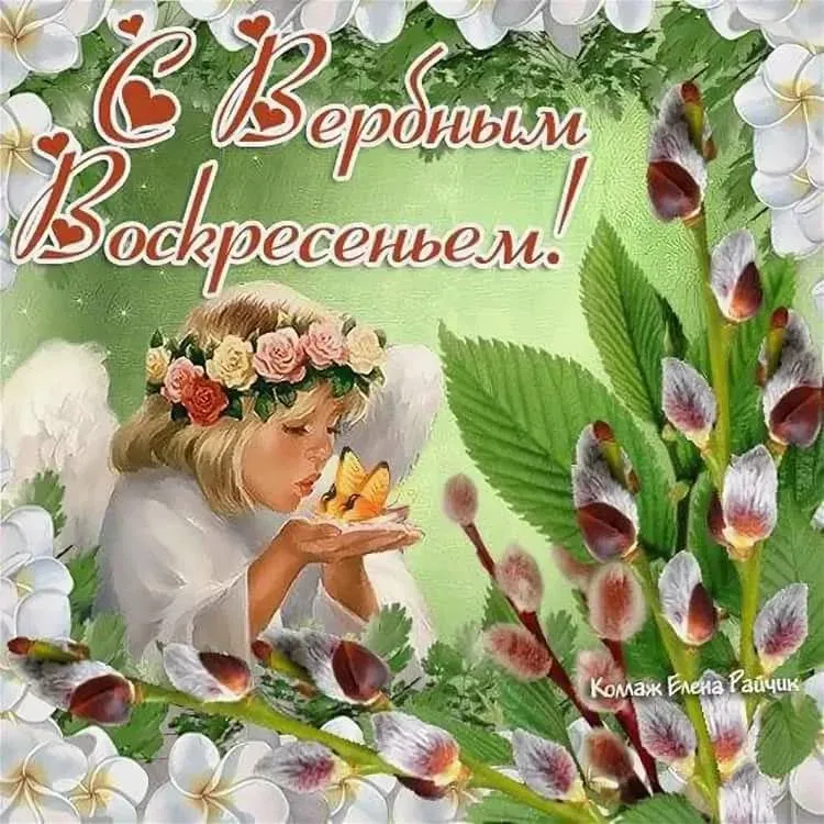 Открытка Вербное Воскресенье - Комашка!
Красивая открытка с бабочкой и цветами | Красивая открытка #133