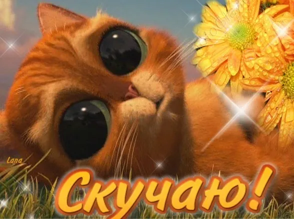 Открытка Скучаю - Открытка с рыжим котом и цветком | Красивая открытка #25