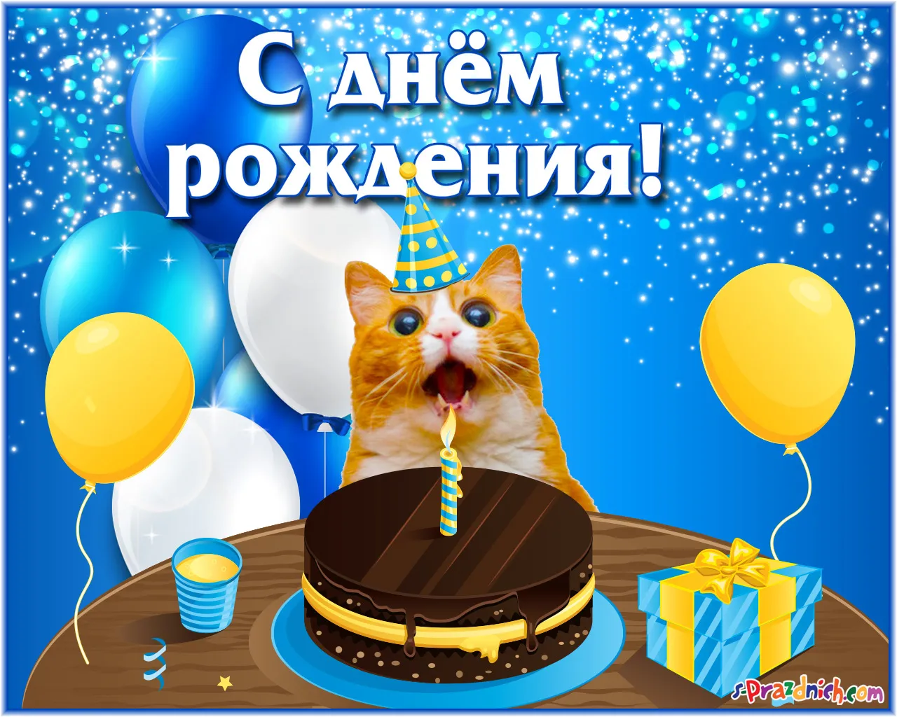 Открытка с днём рождения прикольные - Котик на дне рождении с тортом и подарками! | Красивая открытка #46