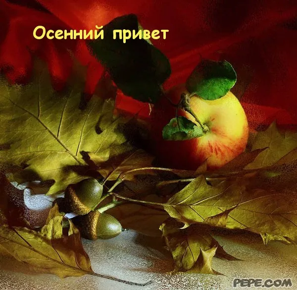 Открытка Осенний приветик - Осенние листья, яблоко и желуди: открытка с природой | Красивая открытка #72