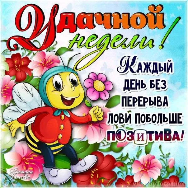 Открытка Недели - Открытка с пчелкой: день рождения, поздравления | Красивая открытка #13