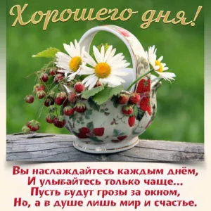 Открытка Хорошего дня - Открытка с ромашками и клубникой | Красивая открытка #9