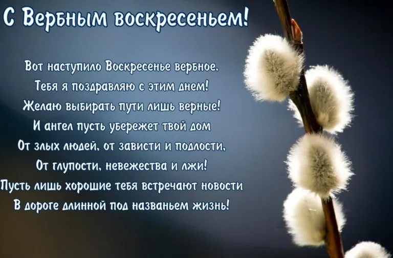 Открытка Вербное Воскресенье - Весенняя открытка: пушистые ветки вербы | Красивая открытка #222