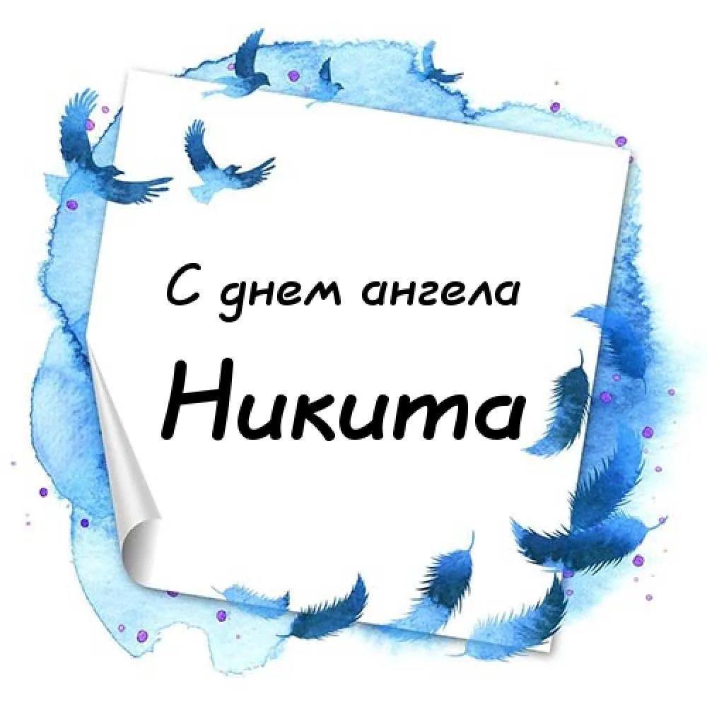 Открытка Открытки с именем Никита - Открытка «С днем ангела» — голубые перья и цветы | Красивая открытка #99