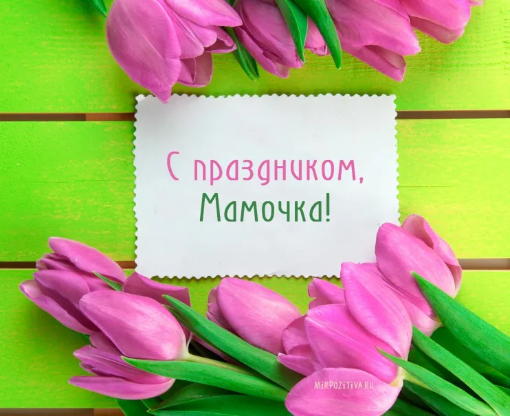 Открытка С днем матери - Открытка с тюльпанами и надписью "С праздником, Мамочка!" | Красивая открытка #123