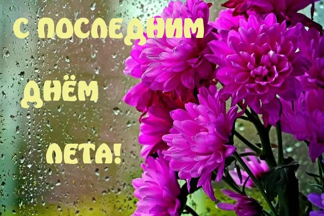 Открытка С последним днем лета! - Пурпурные цветы на стекле, капли дождя | Красивая открытка #41