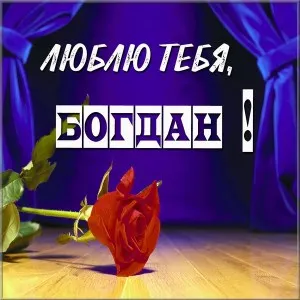 Открытка открытки с именем Богдан - Красная роза на бархате: открытка с любовью | Красивая открытка #149
