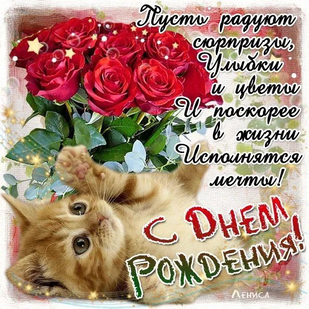 Открытка с днем рождения - Открытка с котенком и розами. С днем рождения! | Красивая открытка #98