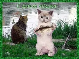 Открытка День Кошек - Открытка с котятами и рыбой  С Днём! | Красивая открытка #29