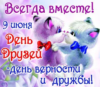 Открытка День друзей - Открытка с котятами: фиолетовые цветы и бантики | Красивая открытка #18