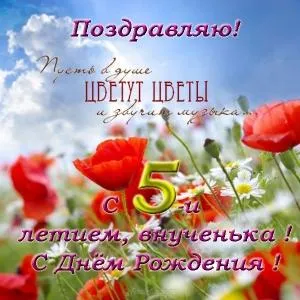 Открытка Открытки на 5 лет - Открытка с цветами: маки и ромашки. С днем рождения! | Красивая открытка #153