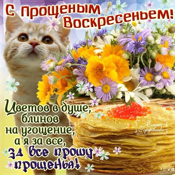 Открытка Прощённое воскресенье - Цветы и котик: открытка с днем рождения | Красивая открытка #32