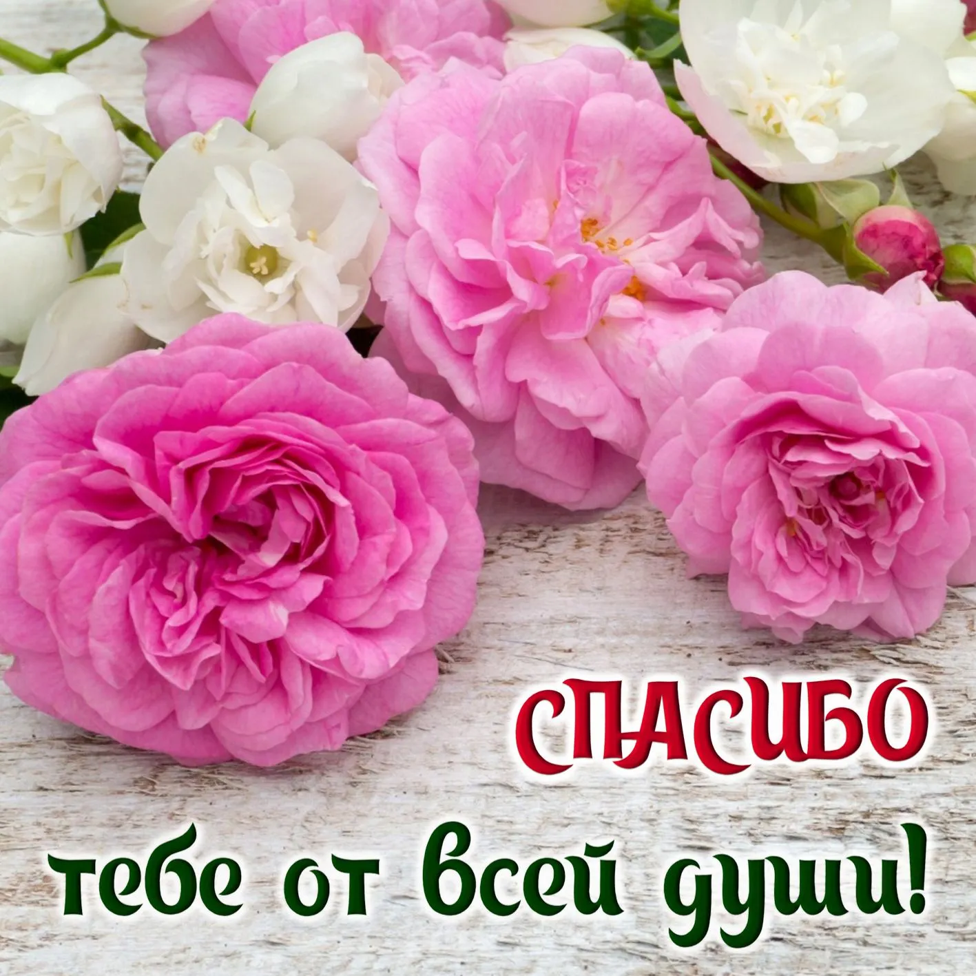Открытка Спасибо - Букет розовых и белых роз | Красивая открытка #195