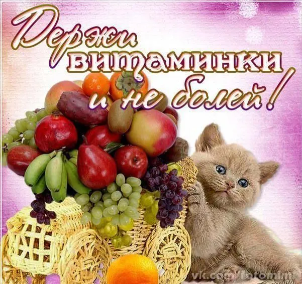 Открытка Выздоравливай - Котенок и фрукты: открытка с милым сюрпризом | Красивая открытка #1