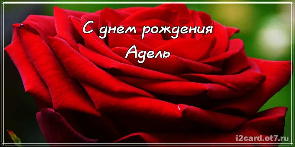 Открытка Открытки с именем Адель - Красная роза: открытка с днем рождения | Красивая открытка #123
