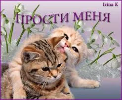 Открытка открытки с извинениями  - Две кошки на фоне подснежников | Красивая открытка #109