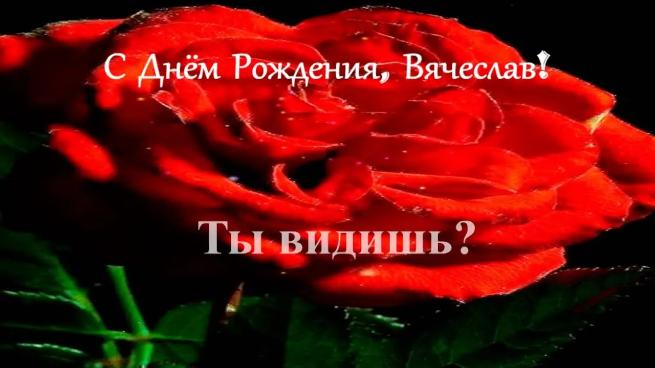 Открытка открытки с именем Вячеслав - Красная роза: открытка с днем рождения | Красивая открытка #78