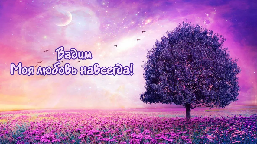 Открытка открытки с именем Вадим - Открытка: Рассвет над цветущим полем и деревом | Красивая открытка #204